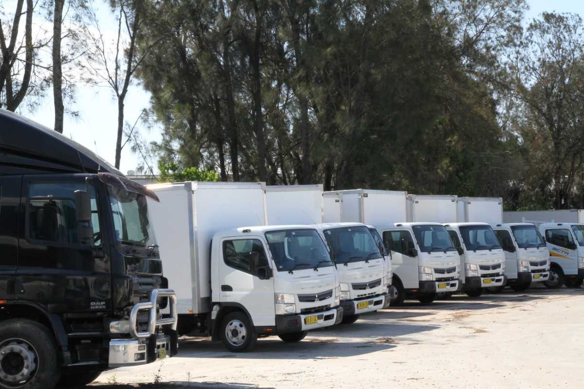 Car-Licence-NSW Car Licence NSW